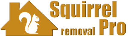 Squirrel Removal Pro Sity